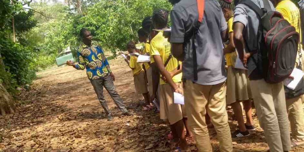 Tying a New Rope to an Old One: Developing an Environmental Education Curriculum in Benin